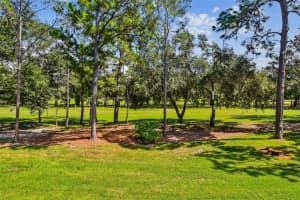 36750 US HIGHWAY 19 N #19213, PALM HARBOR, FL 34684 - MLS#MFRTB8434250