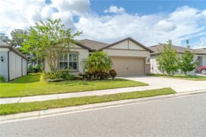 6293 BRADFORD WOODS DRIVE, ZEPHYRHILLS, FL 33542 - MLS#MFRTB8434251