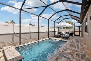 8124 OLIVE BROOK DRIVE, WESLEY CHAPEL, FL 33545 - MLS#MFRTB8434255