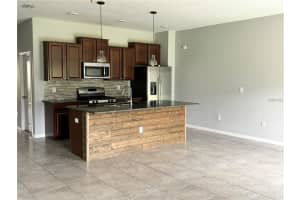 16958 STORYLINE DRIVE, LAND O LAKES, FL 34638 - MLS#MFRTB8434267