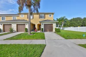 20484 NEEDLETREE DRIVE, TAMPA, FL 33647 - MLS#MFRTB8434269