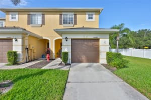 20484 NEEDLETREE DRIVE, TAMPA, FL 33647 - MLS#MFRTB8434269