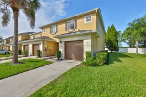 20484 NEEDLETREE DRIVE, TAMPA, FL 33647 - MLS#MFRTB8434269