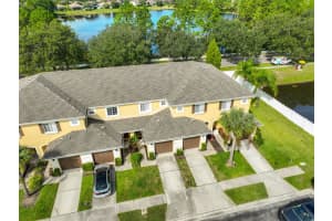 20484 NEEDLETREE DRIVE, TAMPA, FL 33647 - MLS#MFRTB8434269