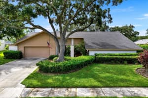 4312 MIDDLE LAKE DRIVE, TAMPA, FL 33624 - MLS#MFRTB8434307