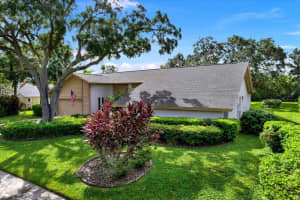 4312 MIDDLE LAKE DRIVE, TAMPA, FL 33624 - MLS#MFRTB8434307