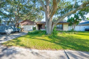12929 Rain Forest St, TEMPLE TERRACE