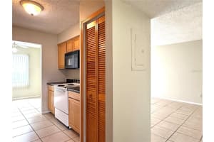 7502 NEEDLE LEAF PLACE, TAMPA, FL 33617 - MLS#MFRTB8434380