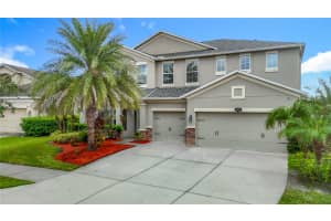 20015 BEARS TRACK LANE, TAMPA, FL 33647 - MLS#MFRTB8434426