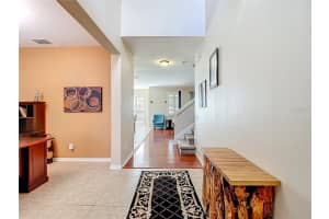 20015 BEARS TRACK LANE, TAMPA, FL 33647 - MLS#MFRTB8434426