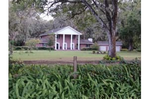 5151 SHAKESPEARE DRIVE, DOVER, FL 33527 - MLS#MFRTB8434433