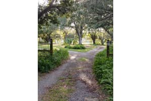 5151 SHAKESPEARE DRIVE, DOVER, FL 33527 - MLS#MFRTB8434433