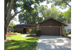 1655 BENTLEY COURT, PALM HARBOR, FL 34684 - MLS#MFRTB8434449