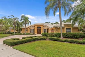 10411 CORY LAKE DRIVE, TAMPA, FL 33647 - MLS#MFRTB8434521
