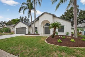 4849 MUSSELSHELL DRIVE, NEW PORT RICHEY, FL 34655 - MLS#MFRTB8434549