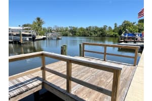 333 MOUNT RICHMOND AVENUE, ST PETERSBURG, FL 33702 - MLS#MFRTB8434583