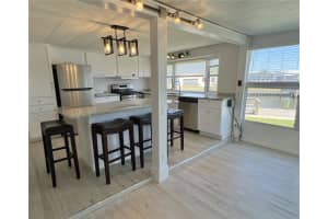 333 MOUNT RICHMOND AVENUE, ST PETERSBURG, FL 33702 - MLS#MFRTB8434583