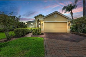 10316 SORENSTAM DRIVE, TRINITY, FL 34655 - MLS#MFRTB8434587