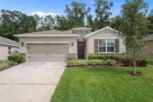 12735 EASTPOINTE DRIVE, DADE CITY, FL 33525 - MLS#MFRTB8434592