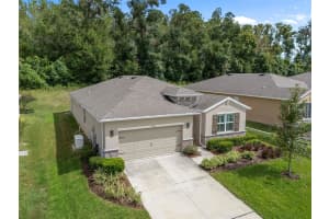 12735 EASTPOINTE DRIVE, DADE CITY, FL 33525 - MLS#MFRTB8434592
