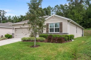 12735 EASTPOINTE DRIVE, DADE CITY, FL 33525 - MLS#MFRTB8434592
