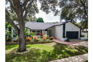 1000 WEXFORD LEAS BOULEVARD, PALM HARBOR, FL 34683 - MLS#MFRTB8434602