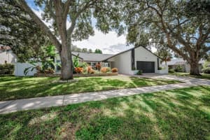 1000 WEXFORD LEAS BOULEVARD, PALM HARBOR, FL 34683 - MLS#MFRTB8434602