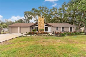 4406 CHARRO LANE, PLANT CITY, FL 33565 - MLS#MFRTB8434610