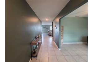 11916 WILD DAFFODIL COURT, RIVERVIEW, FL 33579 - MLS#MFRTB8434634