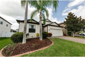 1193 LAWNVIEW TERRACE, NEW PORT RICHEY, FL 34655 - MLS#MFRTB8434674