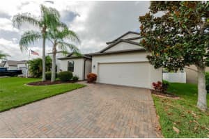 1193 LAWNVIEW TERRACE, NEW PORT RICHEY, FL 34655 - MLS#MFRTB8434674