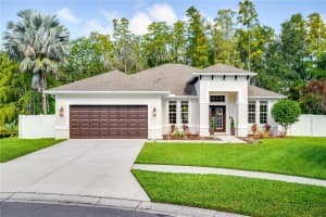 15925 Country Farm Pl, TAMPA