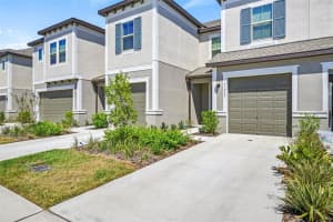 31945 Blue Passing Loop, WESLEY CHAPEL