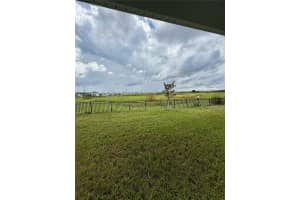 33019 OSPREY PEAK WAY, SAN ANTONIO, FL 33576 - MLS#MFRTB8434750