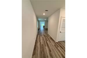 33019 OSPREY PEAK WAY, SAN ANTONIO, FL 33576 - MLS#MFRTB8434750