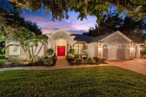 1342 FISHING LAKE DRIVE, ODESSA, FL 33556 - MLS#MFRTB8434760