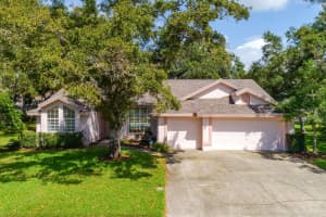 3064 HOMESTEAD OAKS DRIVE, CLEARWATER, FL 33759 - MLS#MFRTB8434768