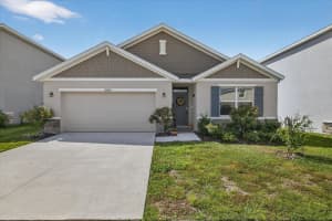32805 OSPREY PEAK WAY, SAN ANTONIO, FL 33576 - MLS#MFRTB8434777