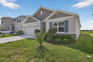 32805 OSPREY PEAK WAY, SAN ANTONIO, FL 33576 - MLS#MFRTB8434777