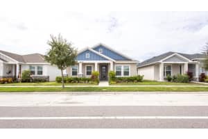 3633 PERSIMMON PARK DRIVE, WESLEY CHAPEL, FL 33543 - MLS#MFRTB8434782