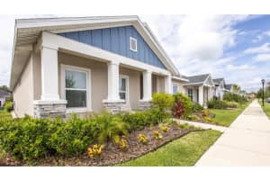 3633 PERSIMMON PARK DRIVE, WESLEY CHAPEL, FL 33543 - MLS#MFRTB8434782