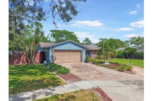 15911 IRONWARE PLACE, TAMPA, FL 33624 - MLS#MFRTB8434828