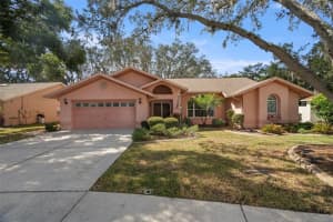 3177 O'hara Dr, NEW PORT RICHEY 3177 O'hara Dr, NEW PORT RICHEY