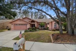3177 O'HARA DRIVE, NEW PORT RICHEY, FL 34655 Sold 12/02/25