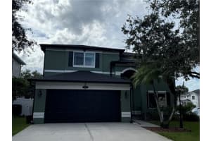 1744 Mapleleaf Blvd, OLDSMAR