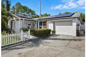 10213 EXPLORER COURT, TAMPA, FL 33615 - MLS#MFRTB8434866