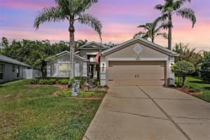 19619 SANDSBURY COURT, LAND O LAKES, FL 34638 - MLS#MFRTB8434871