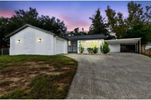 1306 COTTAGE PLACE, BRANDON, FL 33510 - MLS#MFRTB8434880
