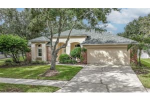 9402 AZALEA RIDGE CIRCLE, TAMPA, FL 33647 - MLS#MFRTB8434898