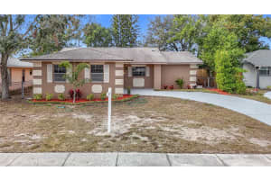 1612 FOX RUN DRIVE, TARPON SPRINGS, FL 34689 - MLS#MFRTB8434901